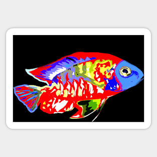 Cichlid Fish Sticker